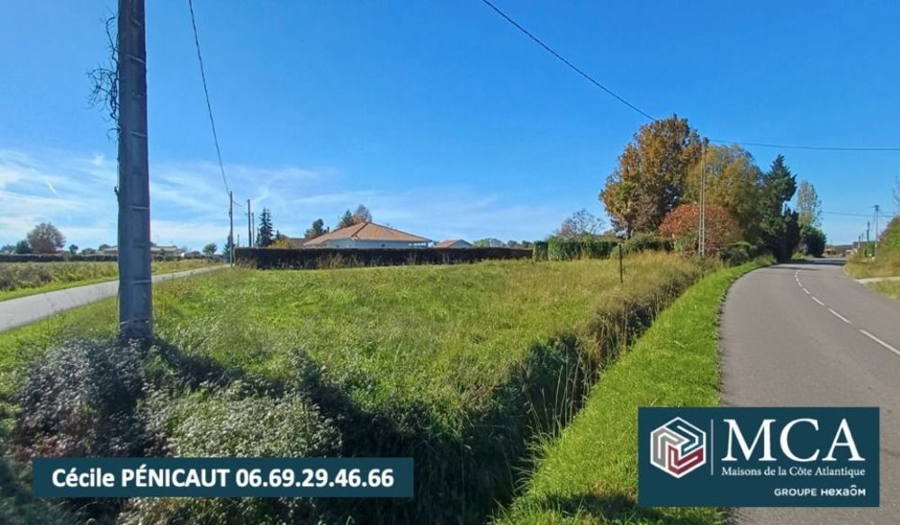 Maisons neuves   Clermont (40180)