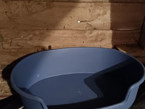  deux paniers .chien  20 60650 Blacourt