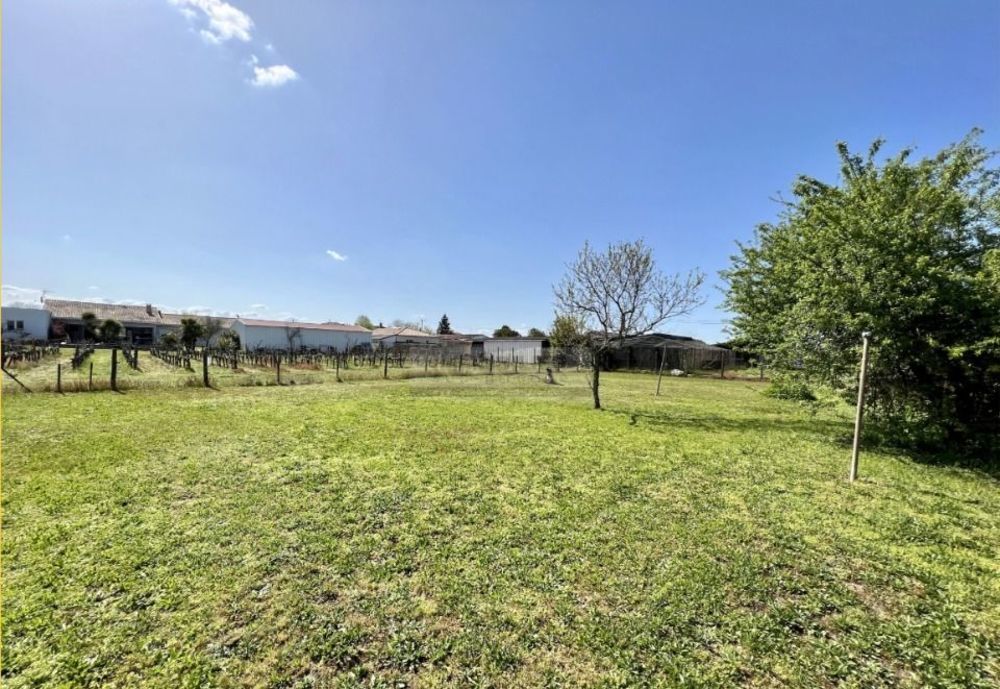 Maisons neuves   Castres-Gironde (33640)