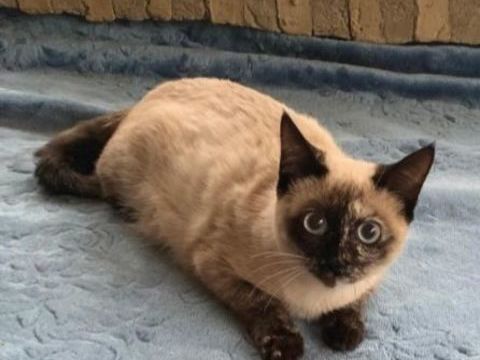 GEMA 180 27620 Gasny