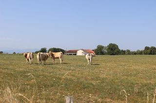  Ferme � vendre 7 pi�ces 220 m�