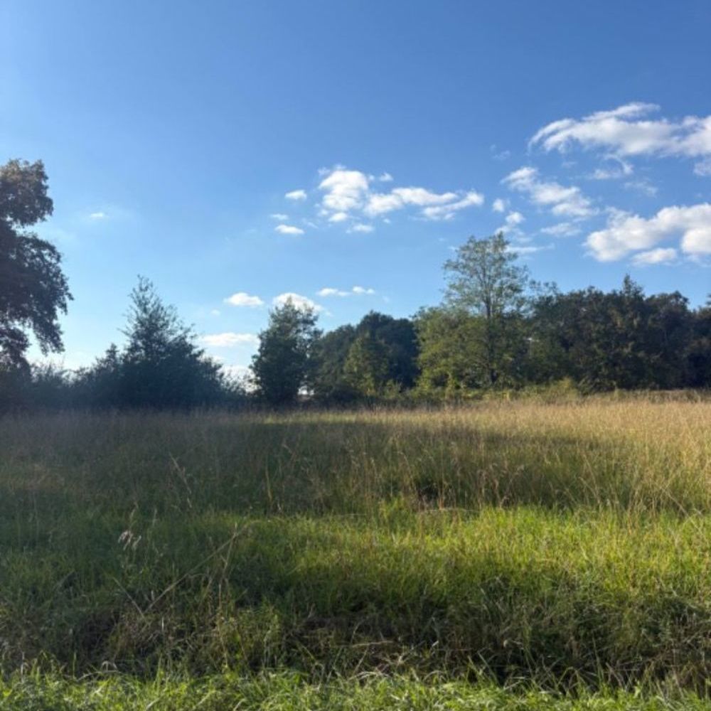 Maisons neuves   Lugon-et-l'le-du-Carnay (33240)