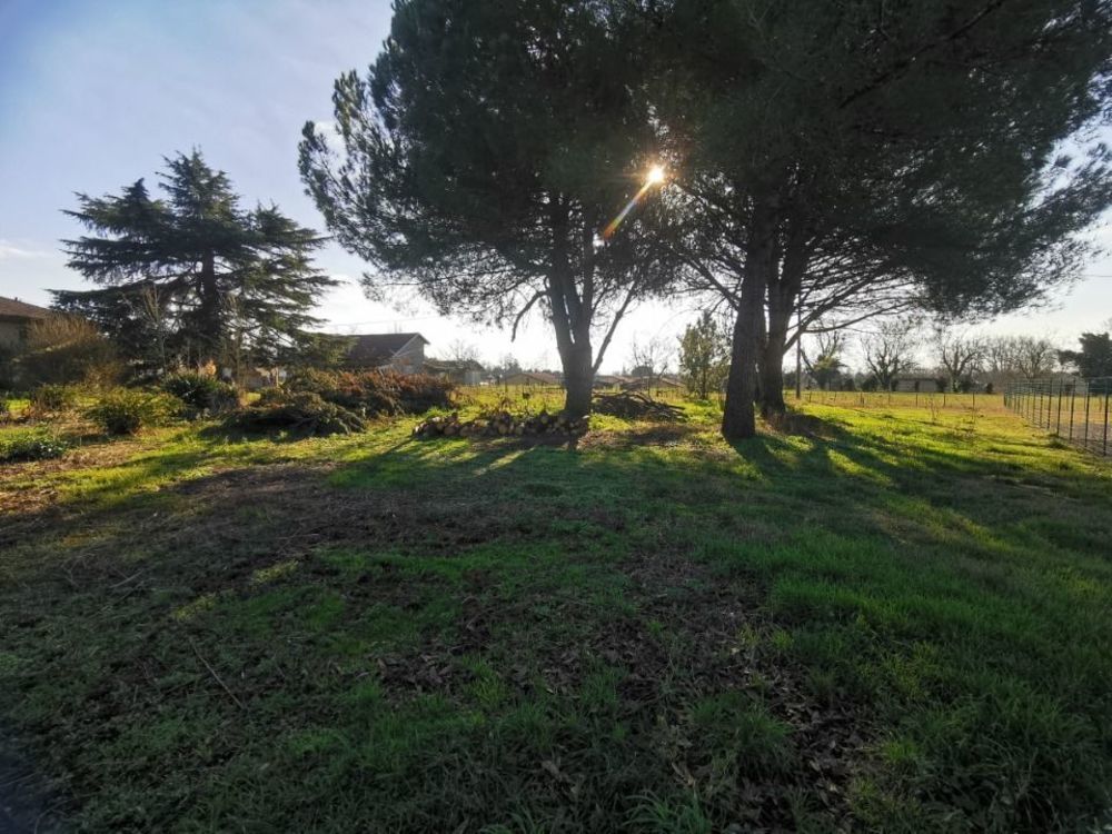 Maisons neuves   Saint-Maixant (33490)