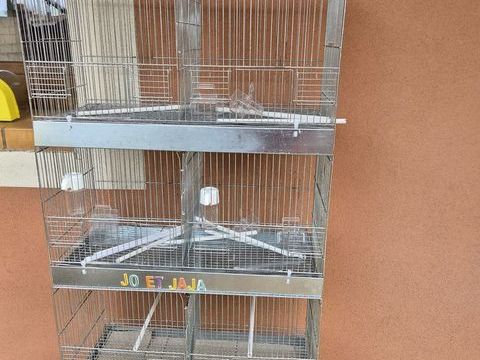 Baterie  de trois cages 100 13180 Gignac-la-nerthe