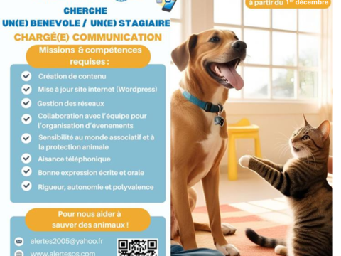 Diffusion pour b&eacute;n&eacute;volat 0 75018 Paris