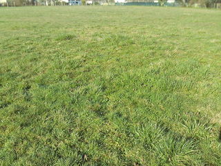  Terrain � vendre 1770 m�