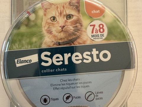 : Collier Seresto pour chats ? 30  la boîte 30 49000 Angers