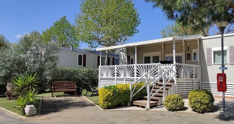 Mobil-Home Mobil-Home 2018 occasion Valras-Plage 34350