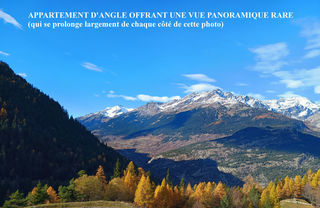  Duplex/triplex � vendre 3 pi�ces 45 m�