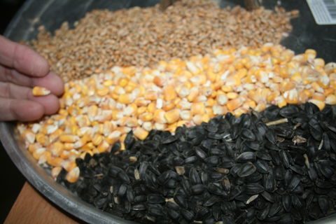 Graines  pour  volaille 18 01390 Civrieux