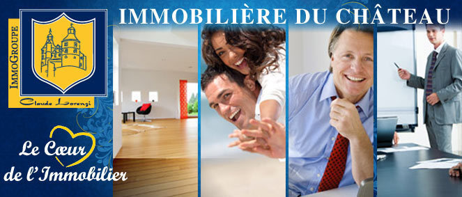 IMMOBILIERE DU CHATEAU, agence immobilire 25