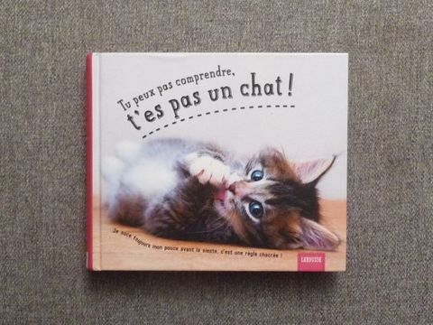 Tu Peux Pas Comprendre, T'es Pas Un Chat! - Aurlie Lemoine  5 Paris 15 (75)