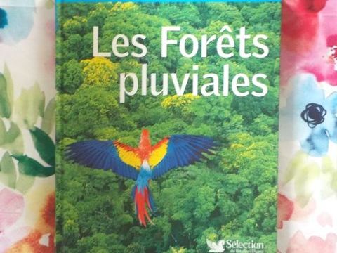 LES FORETS PLUVIALES Sélection du Reader's Digest 2 Bubry (56)