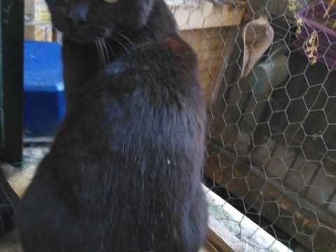 MIGNONETTE 240 92400 Courbevoie