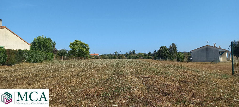 Maisons neuves   Saint-M�dard-de-Mussidan (24400)