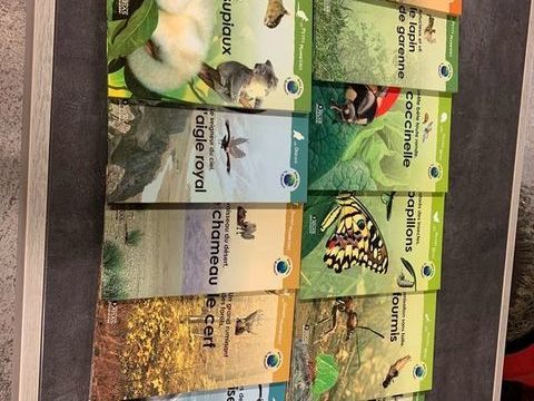 Atlas junior 3 Chassy (89)