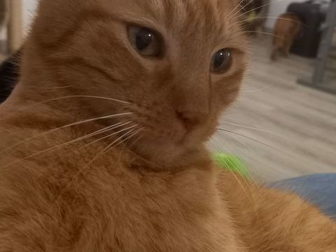 QUINNY 75 95420 Arthies