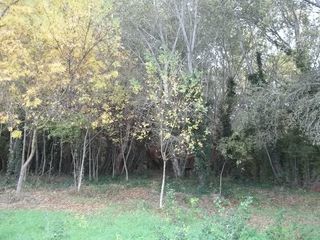  Terrain � louer 500 m�