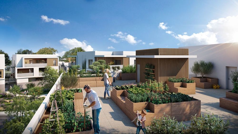 Appartements neufs   Clapiers (34830)