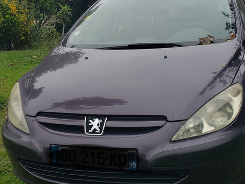 Peugeot 307 Break 1.6 HDi - 90 Pack 2005 occasion Colombier-le-Cardinal 07430