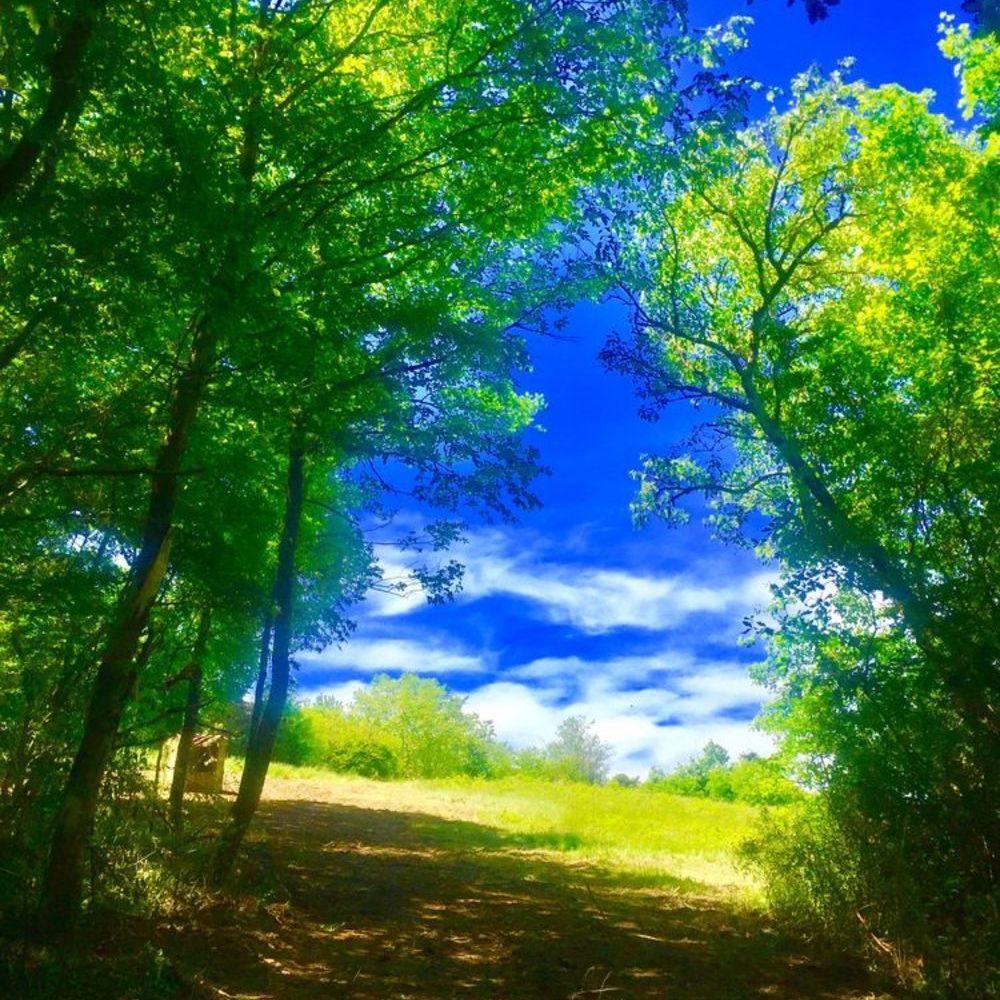 � vendre  Propri�t�/ch�teau Samatan (32130)