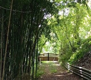  Maison � vendre 3 pi�ces 50 m�