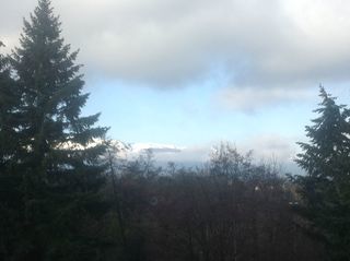  Appartement � louer 1 pi�ce 18 m�