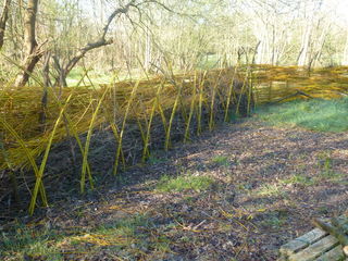  Terrain � vendre 600 m�