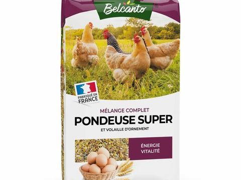 Sacs poules pondeuses 22kg 19 64230 Poey-de-lescar