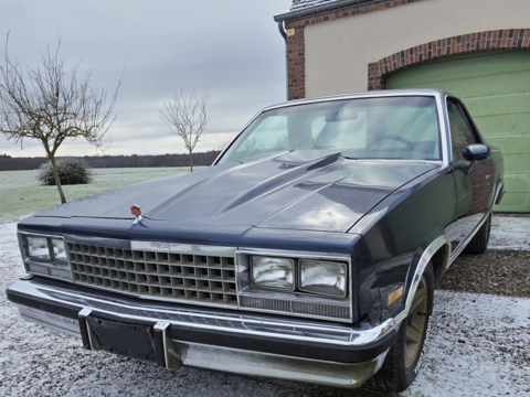 Chevrolet Divers benne 1983 occasion Pers-en-G&acirc;tinais 45210