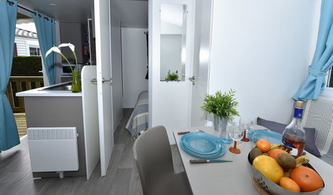 Mobil-Home Mobil-Home 2008 occasion Nans-les-Pins 83860