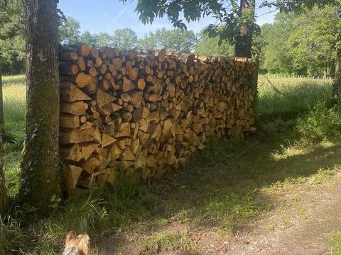 bois de chauffage 65 Angoulême (16)