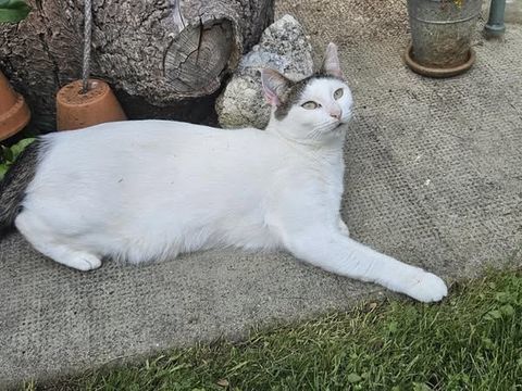 AGATHA 115 95710 Ambleville