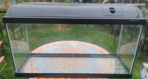 aquarium guppy 80 89000 Auxerre