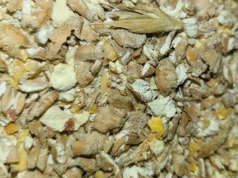 Sac c&eacute;r&eacute;ales concass&eacute;es 40 kg 25 71000 Mâcon