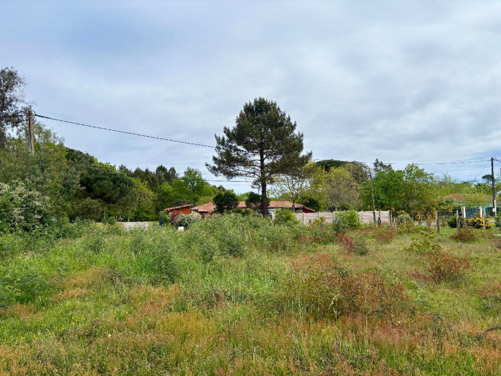 Terrains � batir   Mimizan (40200)