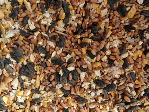 Céréales alimentation animal 1 33210 Langon