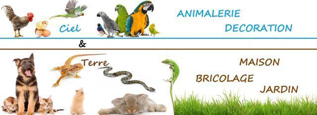 SARL Ciel & Terre, 13