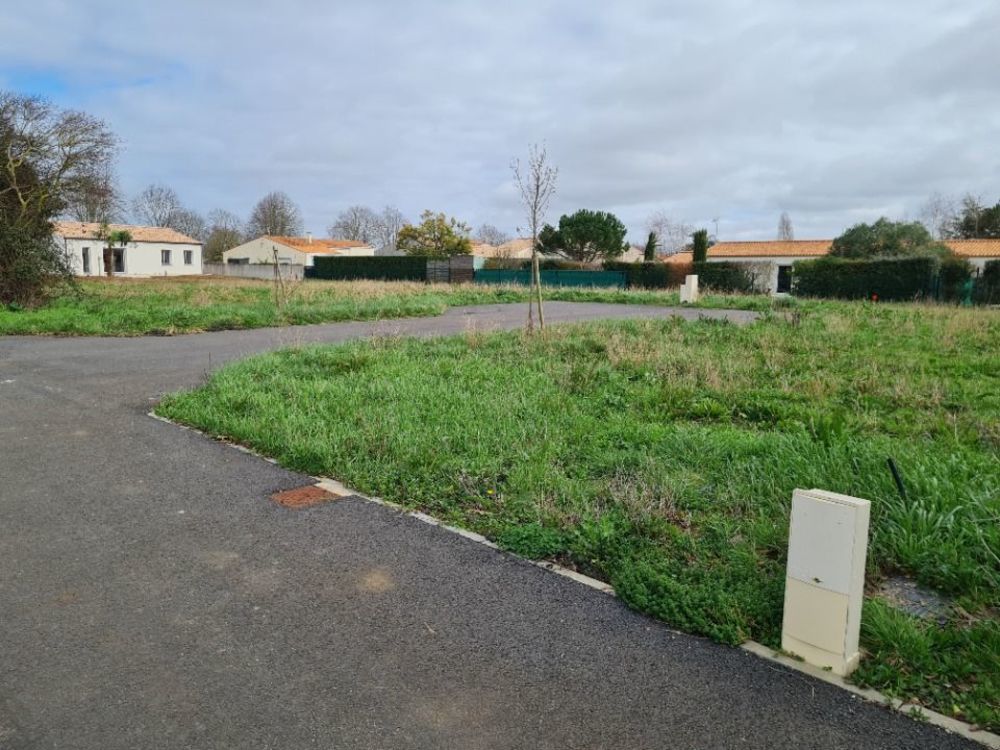 Maisons neuves   Pisany (17600)