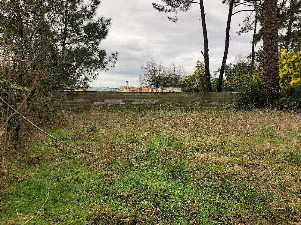   Soulac-sur-Mer (33780)