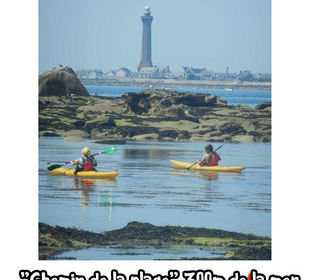 Location  Maison - Villa 