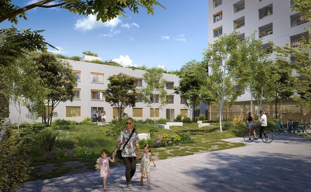 Appartements neufs   Toulouse (31400)