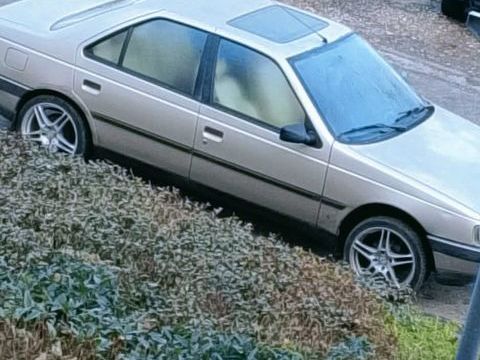 Peugeot 405 1.9 D Sillage 1995 occasion Monteils 82300