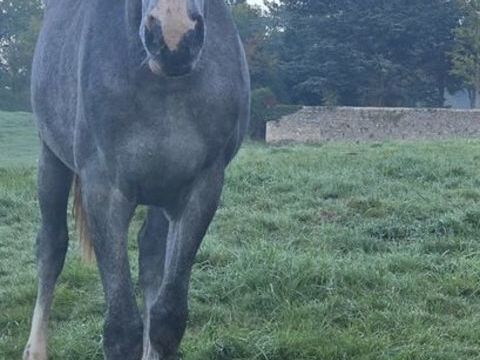 OSIRIS 12000 63290 Paslires