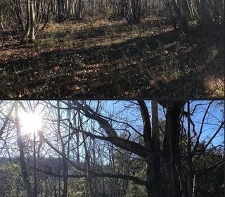  Terrain � vendre 14980 m�