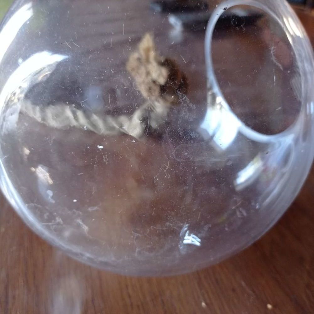 Boule en verre Décoration