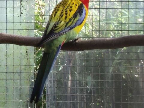 Omnicolore 1 76500 La londe