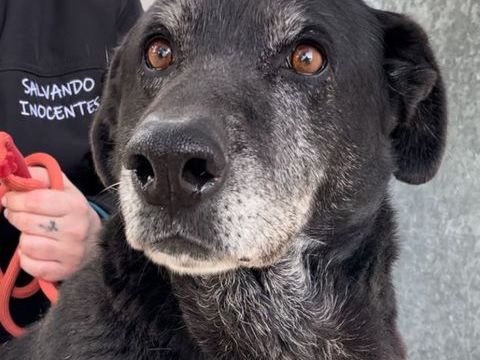 SHAMA 320 27620 Gasny