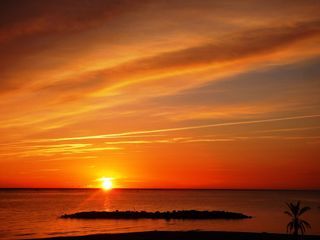 Location  Appartement 