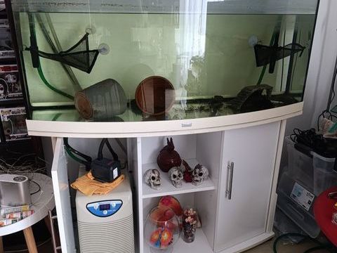 Aquarium 300l avec meuble, pompe, refroidisseur et 5 axolot 400 16100 Cognac